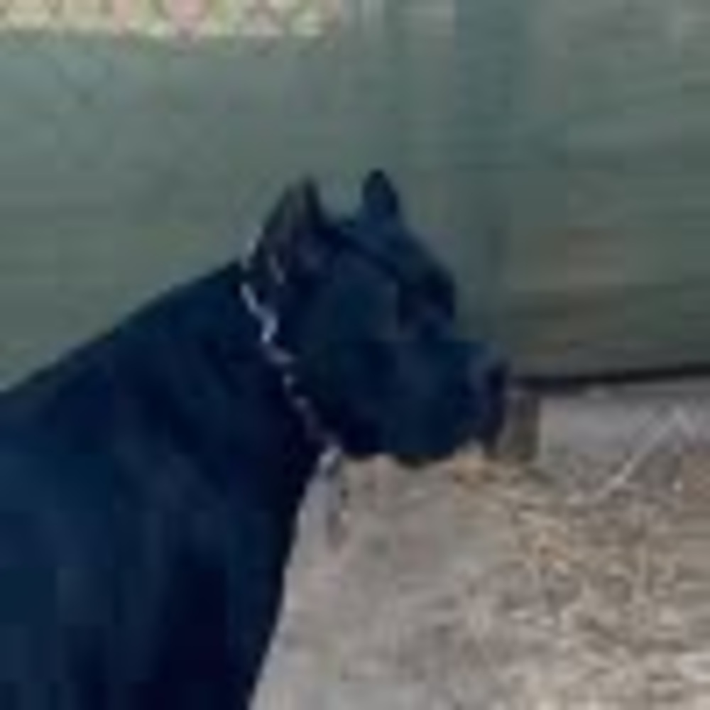 Meet your Posher, Bryan